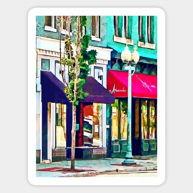 Roanoke VA - Street With Restaurant Sticker by SusanSavad